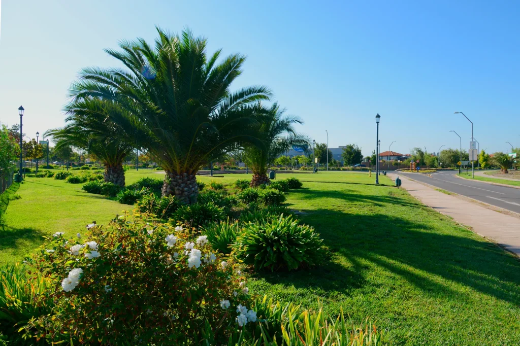 Galerias Mobile